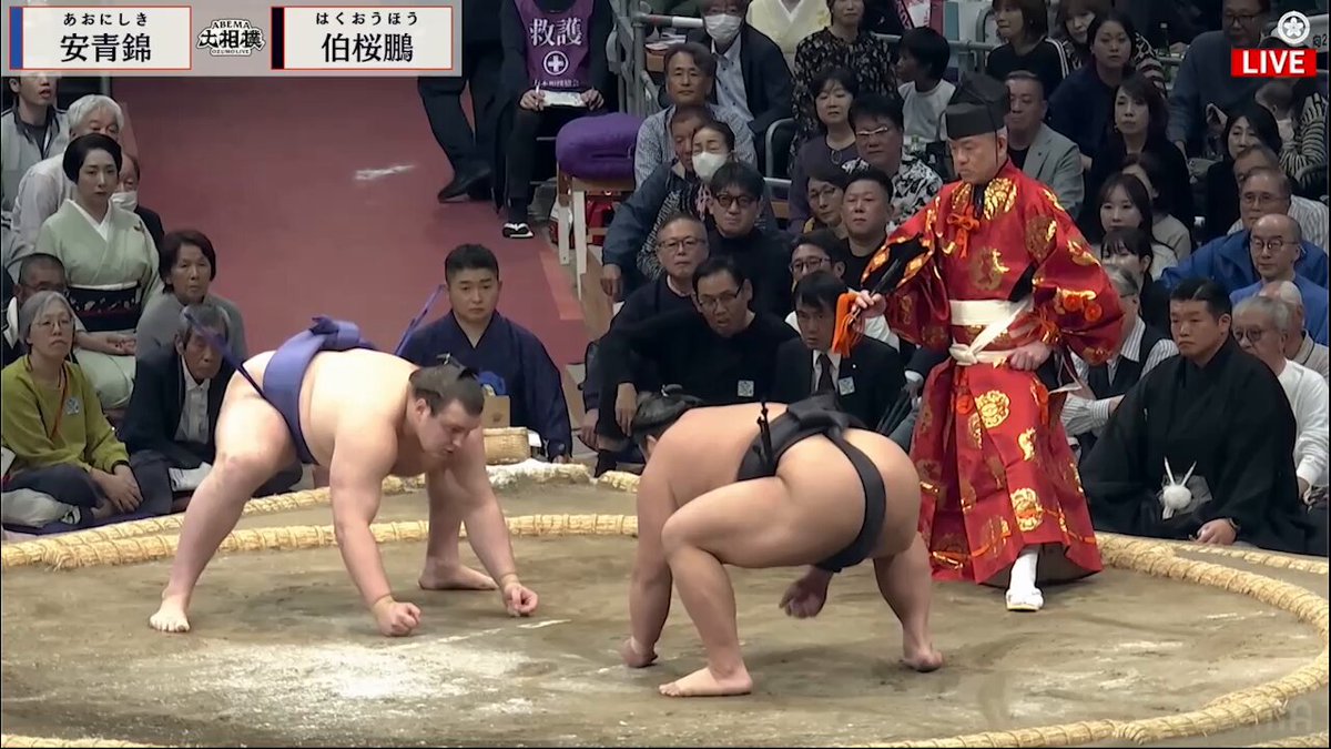 速報】 ABEMA大相撲 十一月場所🍁 ▽三日目 安青錦⚪️－⚫️伯桜鵬