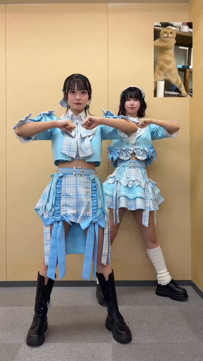 aoao様用•*¨*•.¸♬︎ aoao様用•*¨*•.¸♬︎ アオアオ