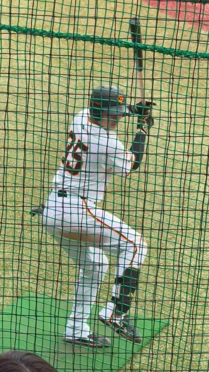 ほーちゃん on X