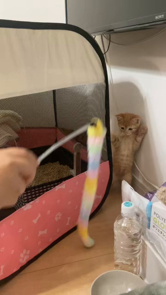 はなな📘📕10月断雨4巻 (@hananamdzs) / Posts / X