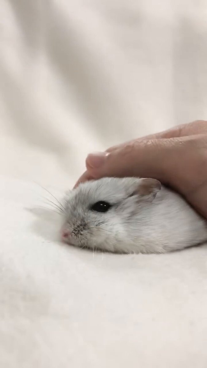 けぇこ🍆 (@36_1970) / Posts / X