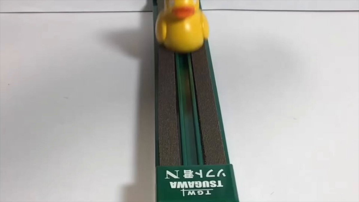 ヤンバルクイナ