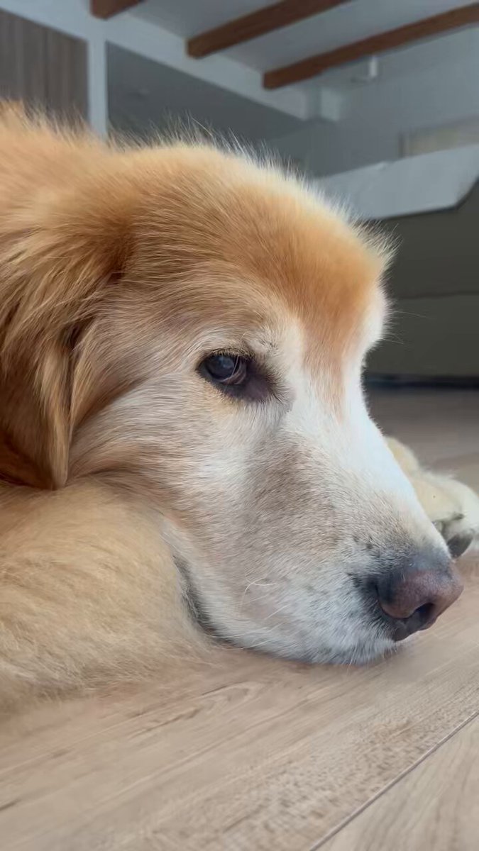 ぴーママ (@1174115) / Posts / X