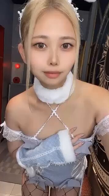 Bunny's Guild バニーズギルド