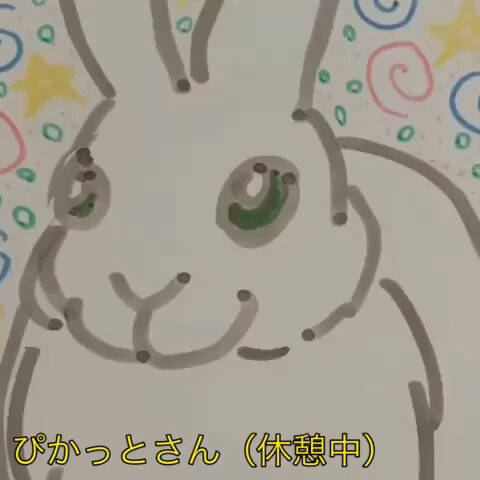 レディーレディーレディーレディーレディーレディーレディーゴー！✨٩