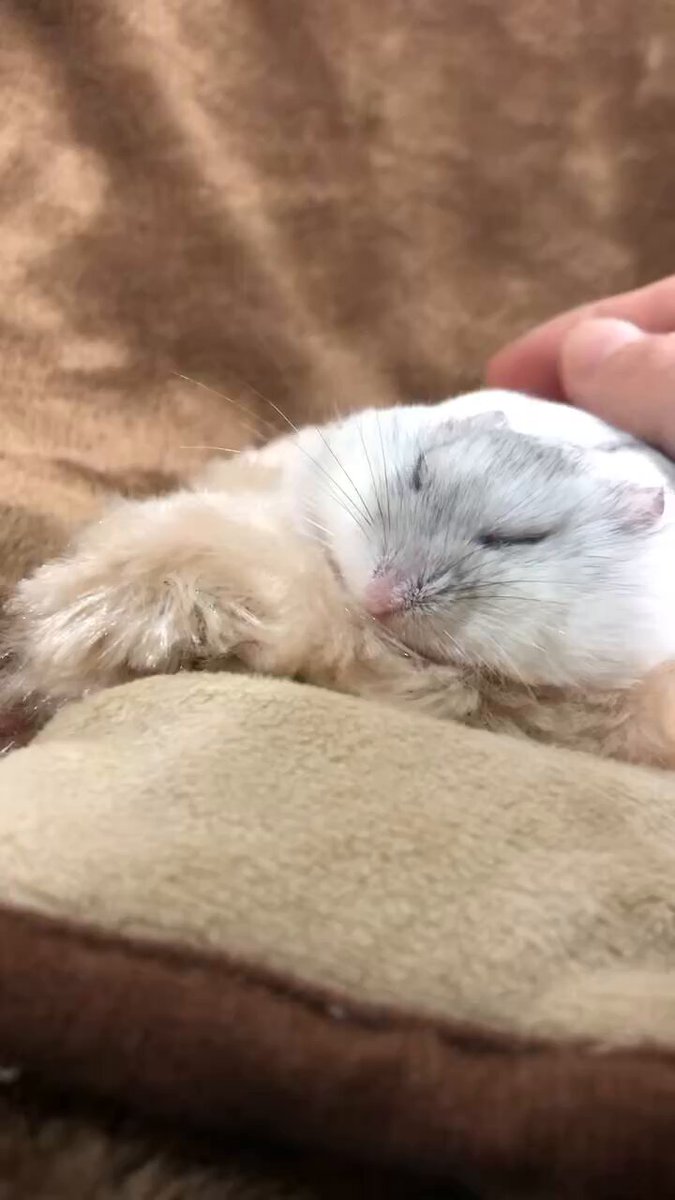 けぇこ🍆 (@36_1970) / Posts / X