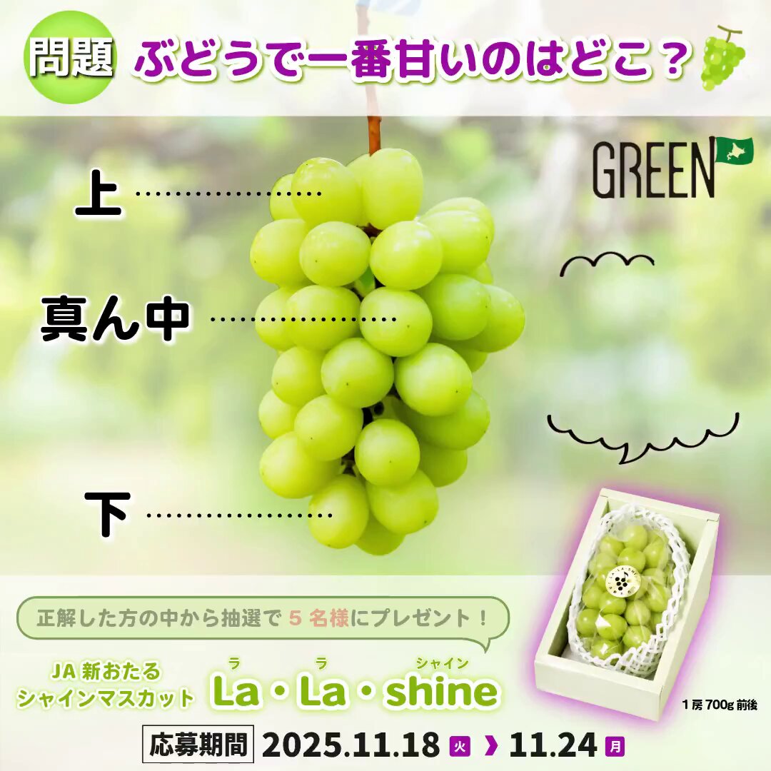 Post by kakaakak(かあか) on X: 上🍇