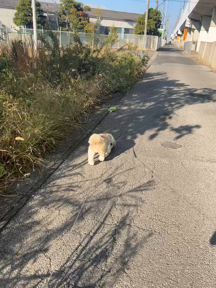 ポーちゃんいい子でバス乗れました(運良く誰も居ない時間にのれた