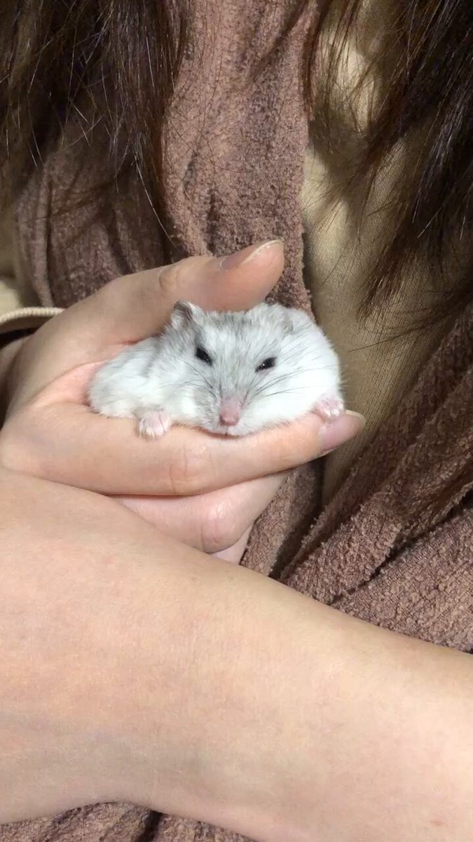 けぇこ🍆 (@36_1970) / Posts / X