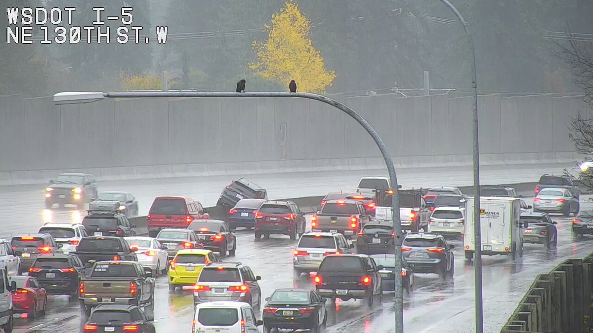 시애틀의 NE 130번가 바로 남쪽 SB I-5의 장벽에 있는 차량을 보고 싶지