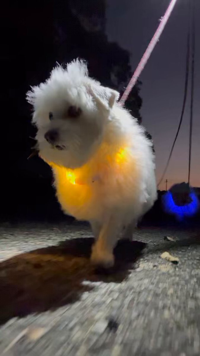 ハルくん (@9Z8lquSv8B3FMpN) / Posts / X