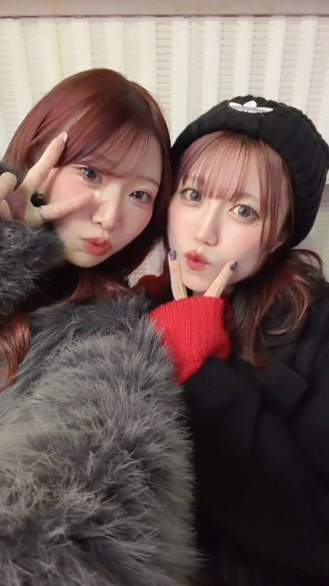 ⚠ りんちゃん 新潟でりんちゃんに会えた🧸💖