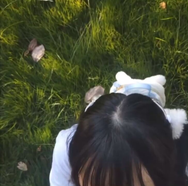 動画サムネイル