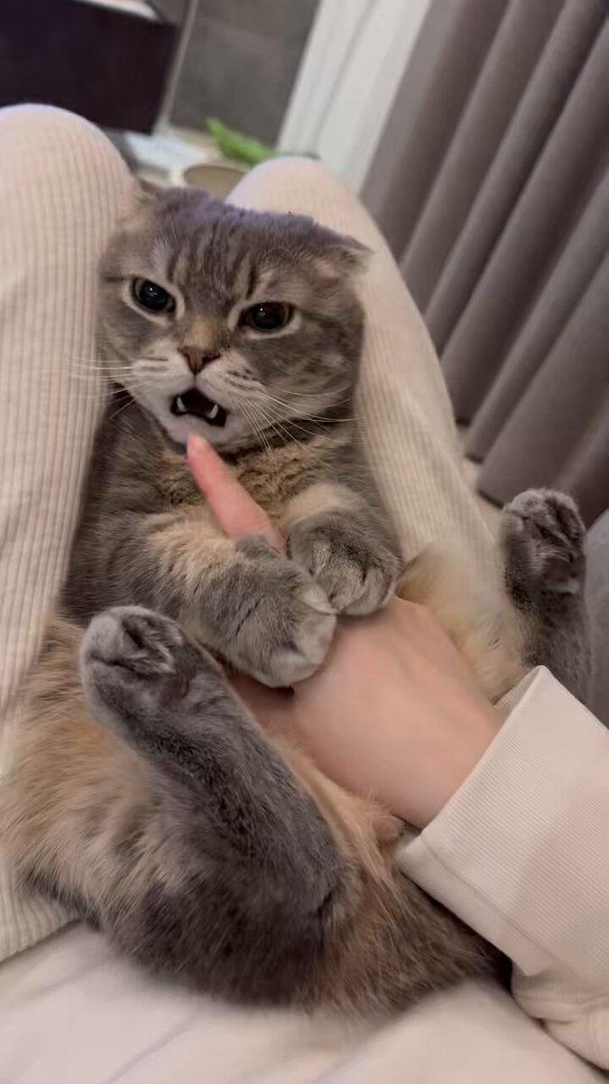 かにかま (@UmdpYTQcidcxPxq) / Posts / X