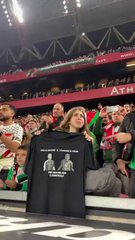 Kapsulatutako bideoa