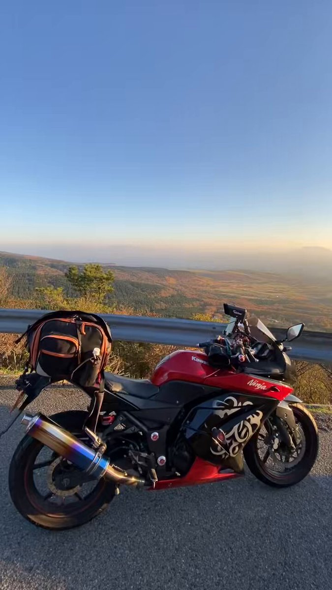 mimi( ◔︎㉦◔︎ ) (@mimi_mimi250) / Posts / X