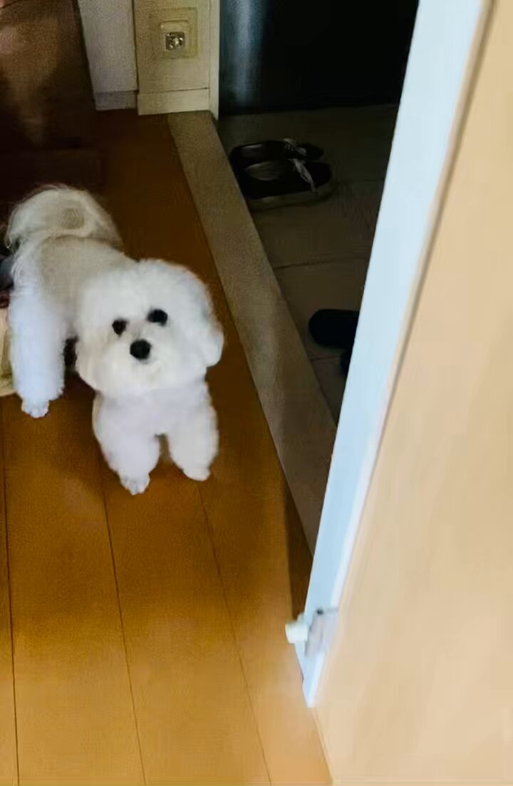 ちいこ (@chi_ko0529) / Posts / X