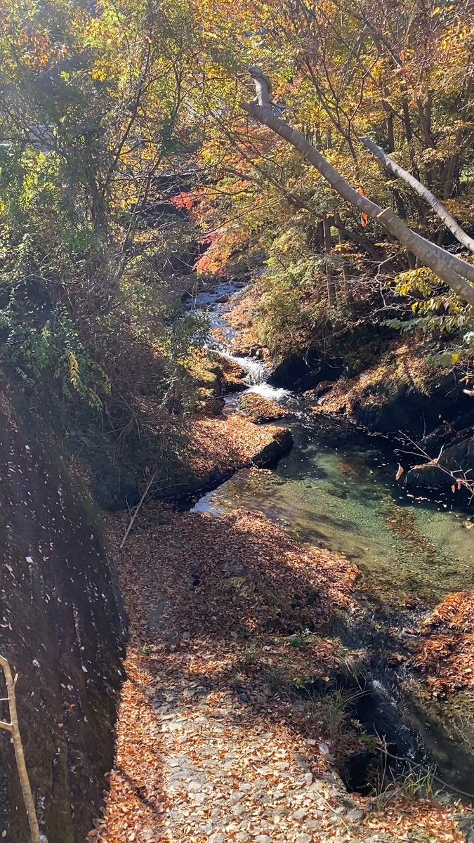 空太郎 (@kuukansugoi) / Posts / X