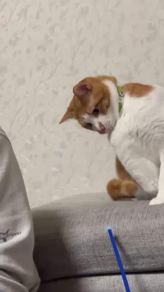 カンナ (@kanna1129) / Posts / X