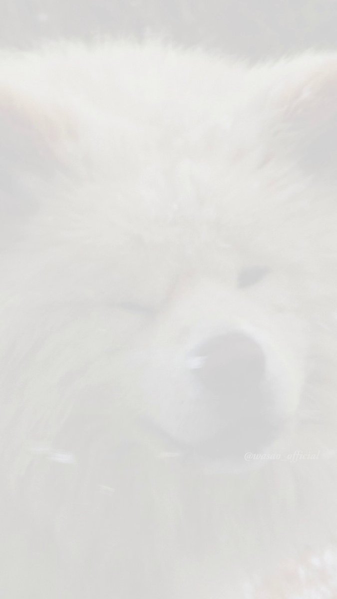 わさお公式 (@WASAO_official) / Posts / X