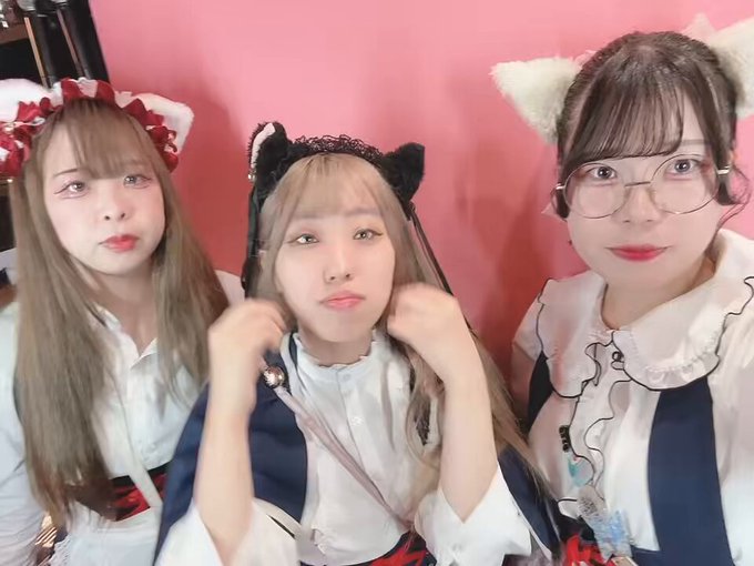 みけねこカフェ秋葉原店のツイート