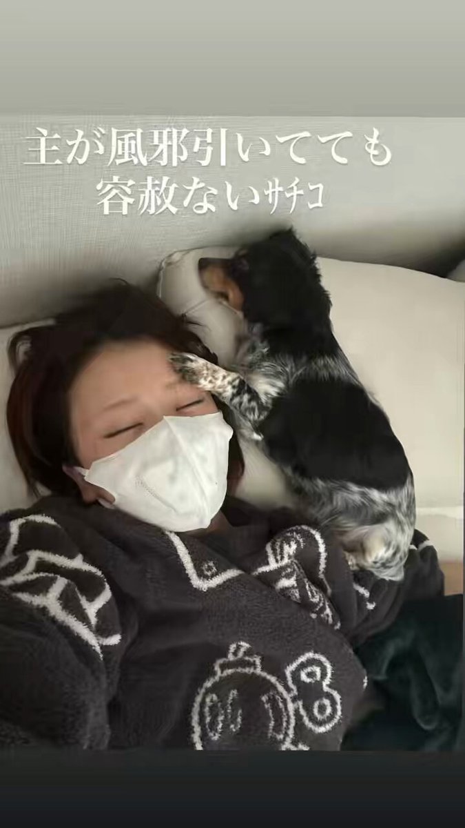 にこにこにこちゃん☺︎ (@__nicochi__) / Posts / X