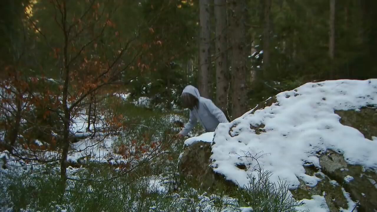 Walter Siegrist (@RealWsiegrist) on X