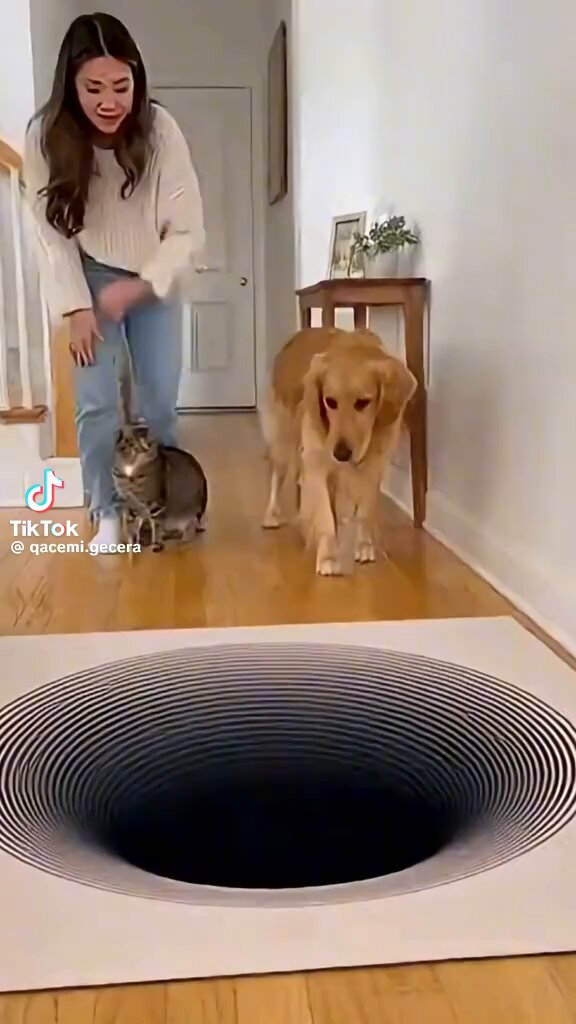 Anna 🇺🇸 (@realAnn_29) on X