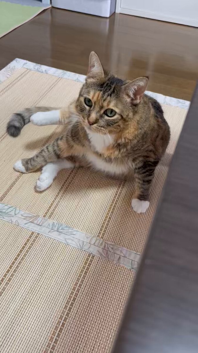 うめのこんぶ (@umenoconbu21) / Posts / X