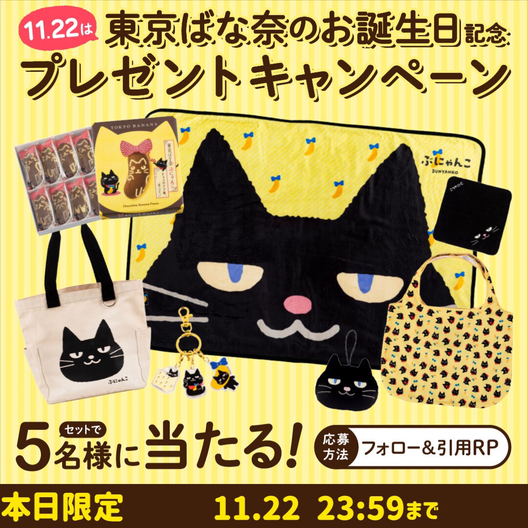 ちいすけ (@kyoroqoo) / Posts / X