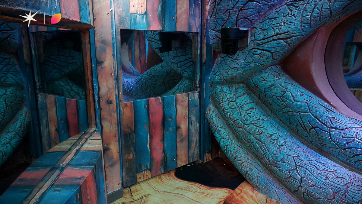 Amaal ke bhai Armaan aaye Picture