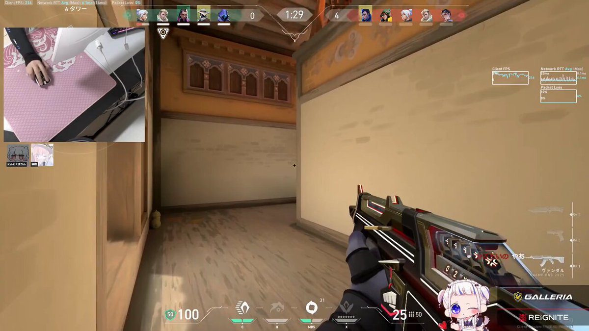 ネコパンチページ beer】AkinekoPunch-秋ねこぱんち- | VECTORBREWING（ベクターブルー