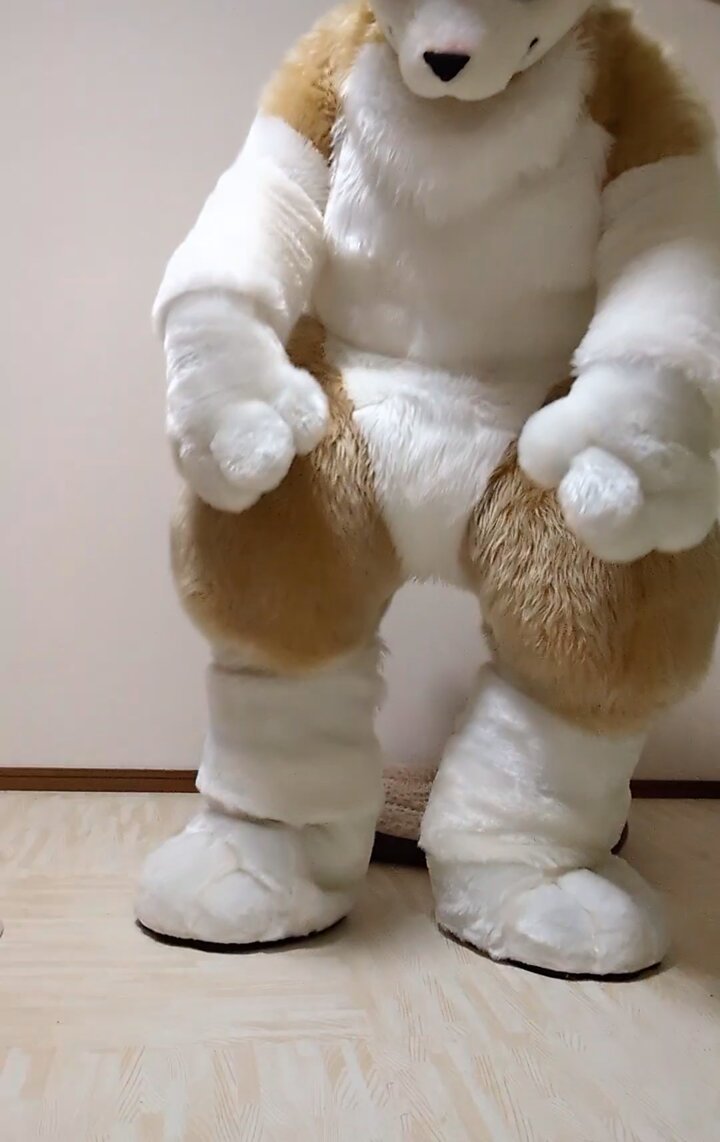 しろくま (@Shirokuma_4GLTE) / Posts / X