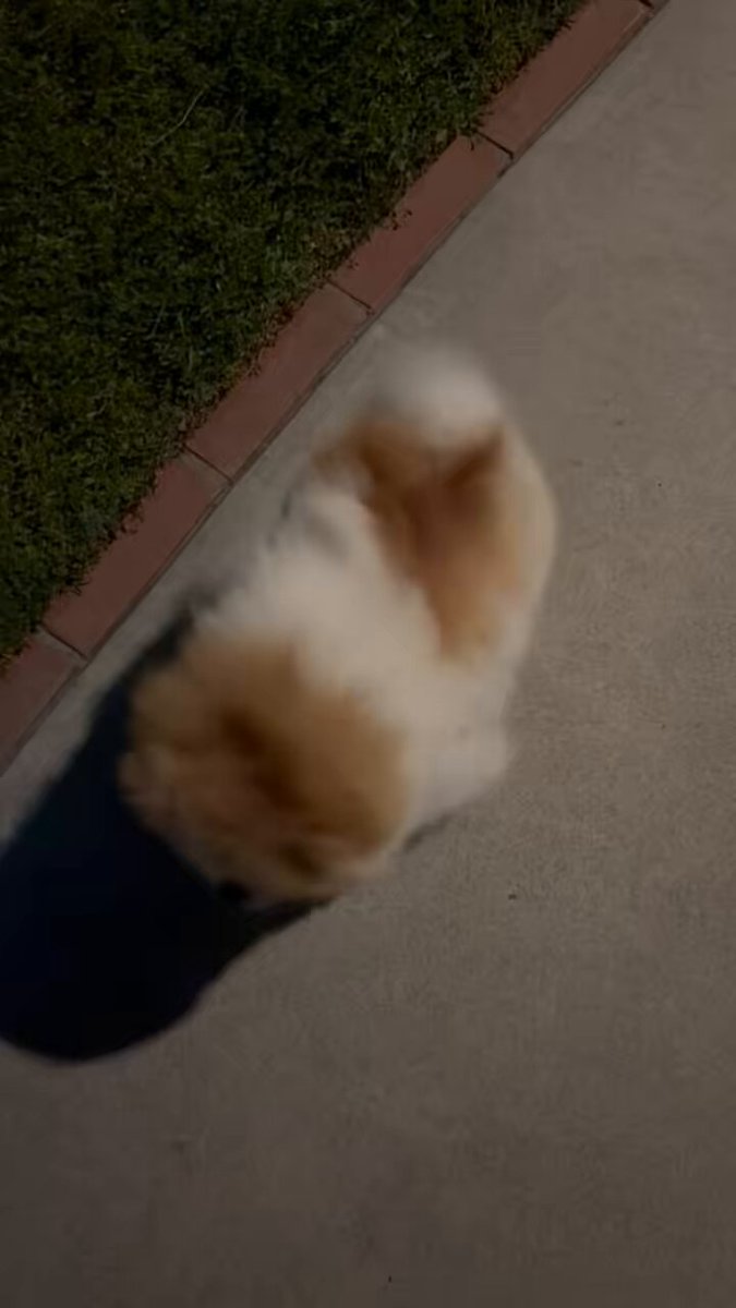 Riki Papa (@RikiPapa12) / Posts / X