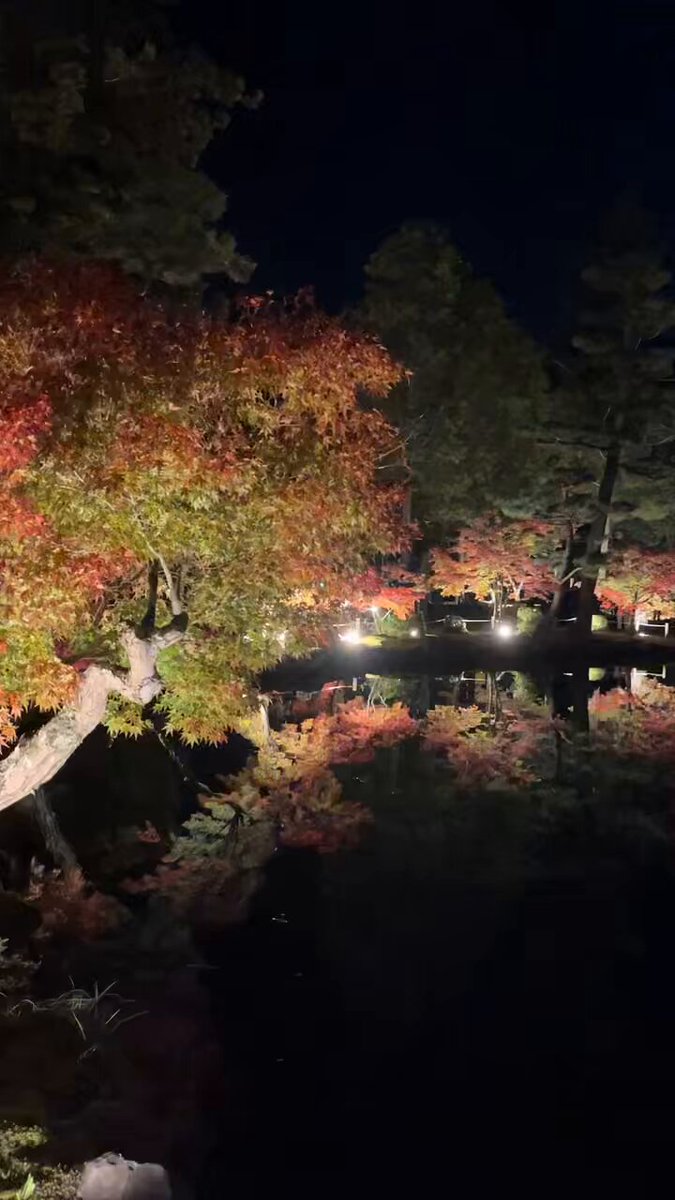 片山たつみ (@katayamatatsumi) / Posts / X