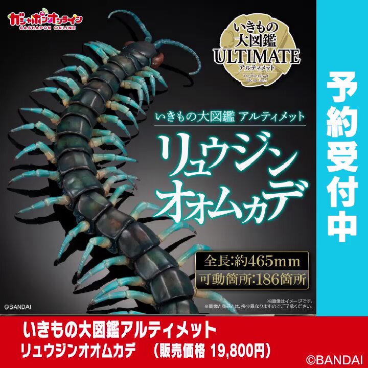 公式】バンダイ いきもの大図鑑 (@ikimonodaizukan) / Posts / X