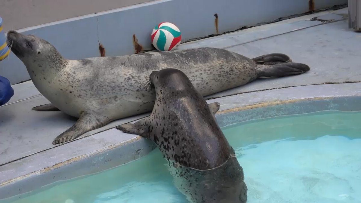 号 (@gogo___xo) / Posts / X