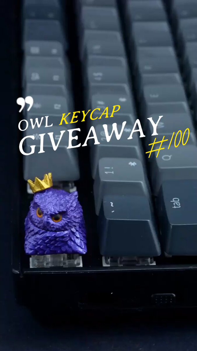 Goya（zonkey🫏🧬🦓製作者） (@goya5858_video) / Posts / X