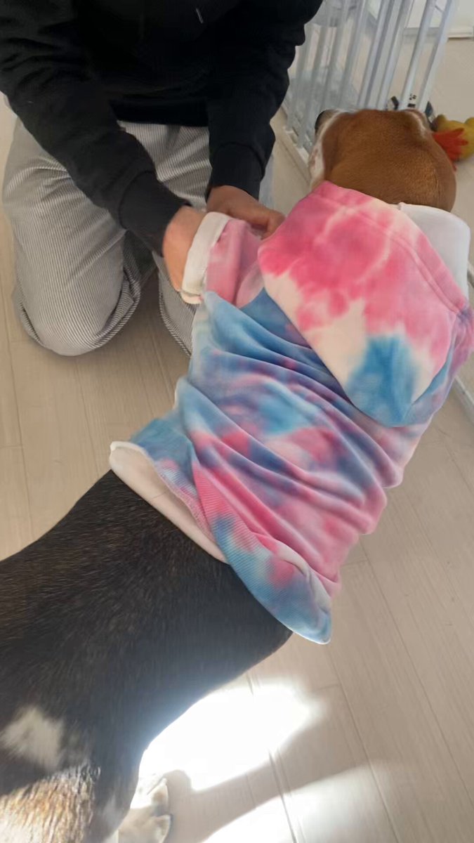 くまこ@BfP名古屋クリエイターズマーケット (@BrowfiriP2) / Posts / X