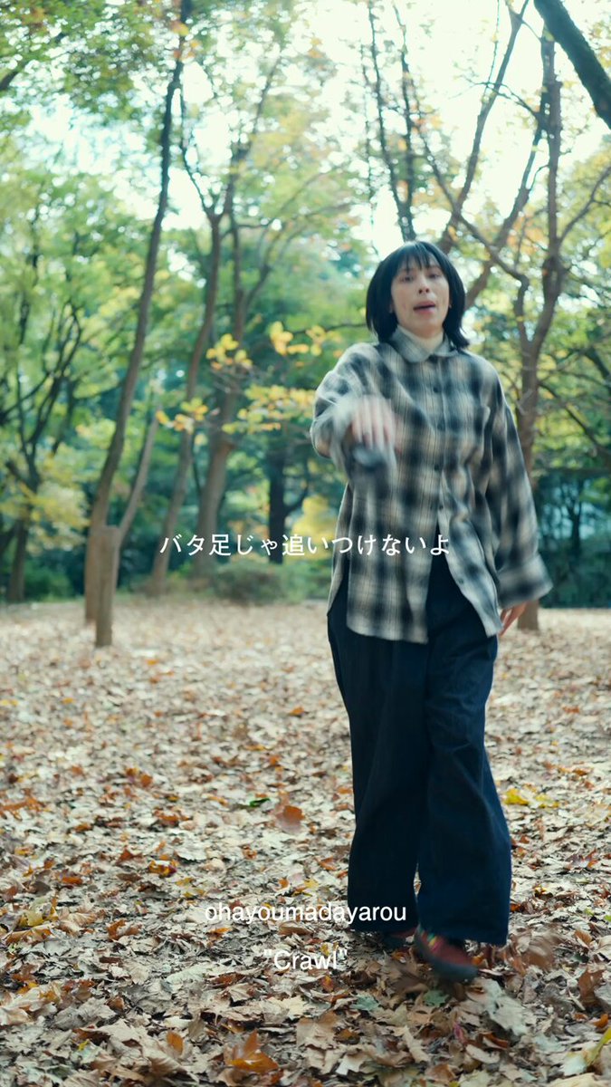 とらとらとらお (@toratoratorao1) / Posts / X