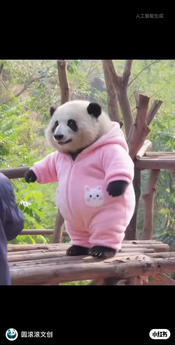 ちーじー🐼🌼 (@mutasokj) / Posts / X