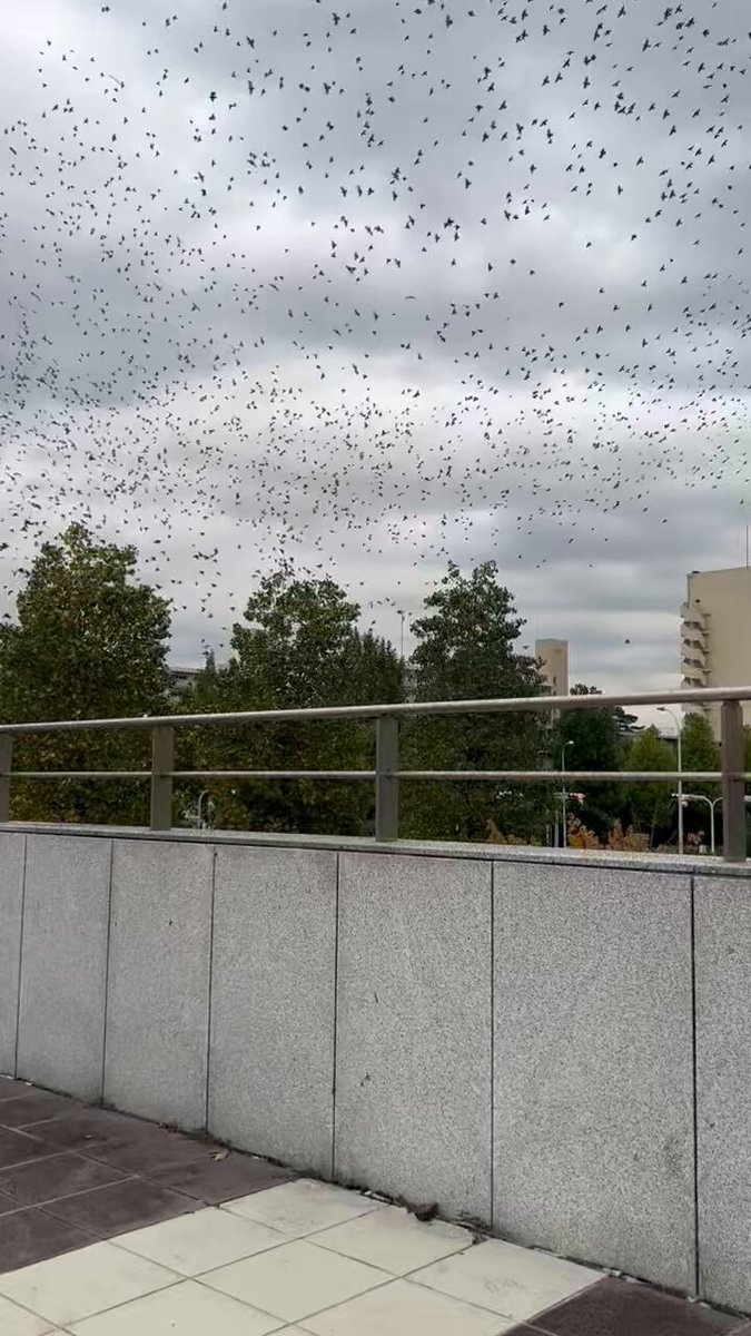 停止。          ぺぺ ˚✩  ぺぺ (@pepe_drz400s_k6) / Posts / X