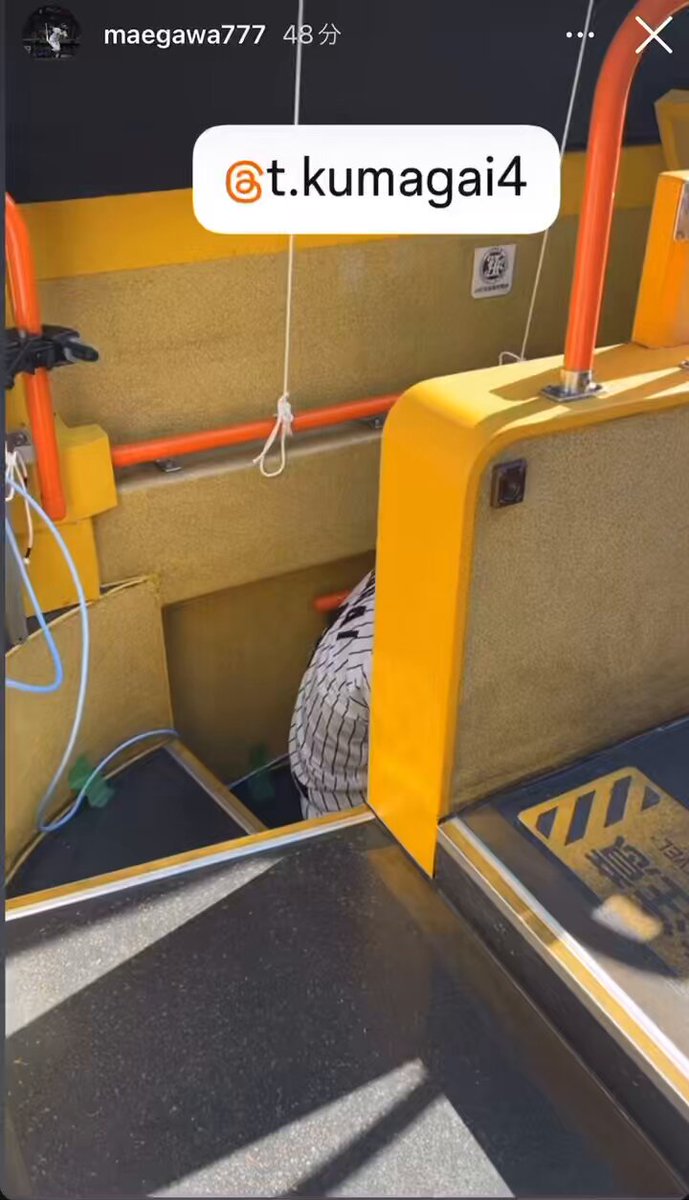 🐯hana🦐🦀 (@hana_A8755) / Posts / X