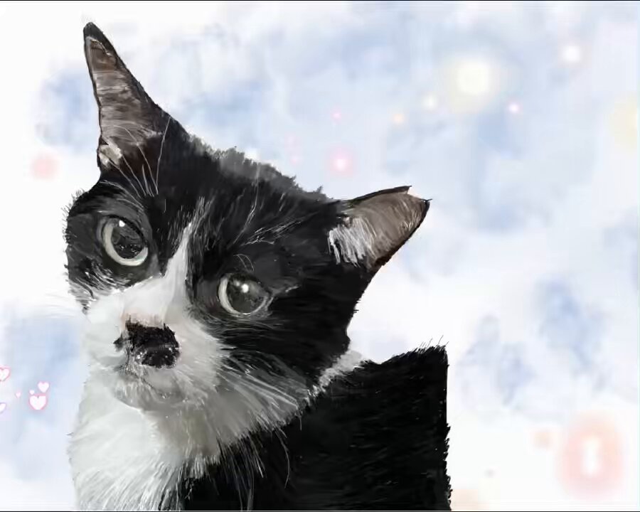 みっちゃんページ みっちゃん (@mi.zx4r.ch) • Instagram photos and videos