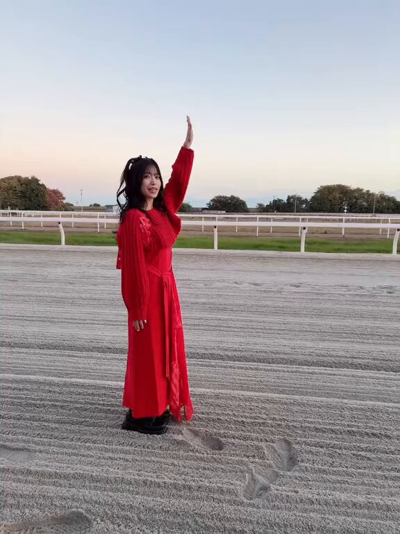 馬車が走る フィットネスシューズ 軽量 室内 ジム シューズ ランニング スポーツ