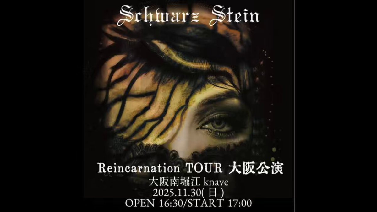 Schwarz Stein (@SchwarzStein_SS) / Posts / X