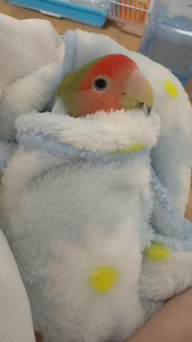 すまいるる♪ページ すまいる (@smilesnr) / Posts / X