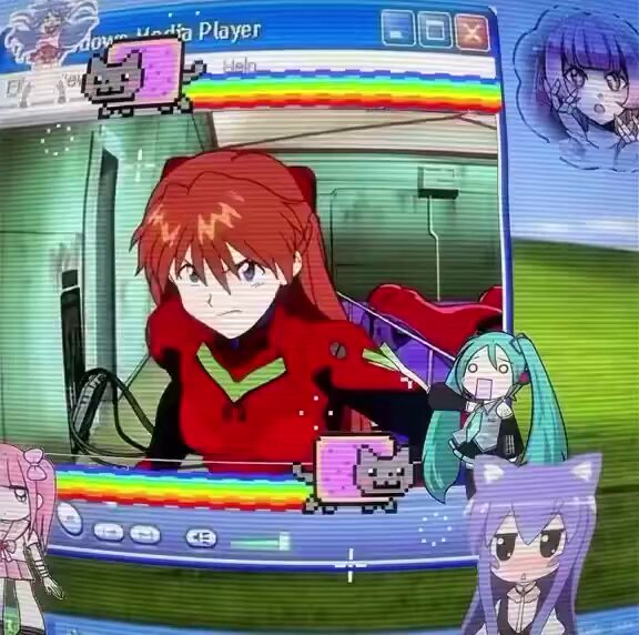 たろう🥩 (@ys03627) / Posts / X