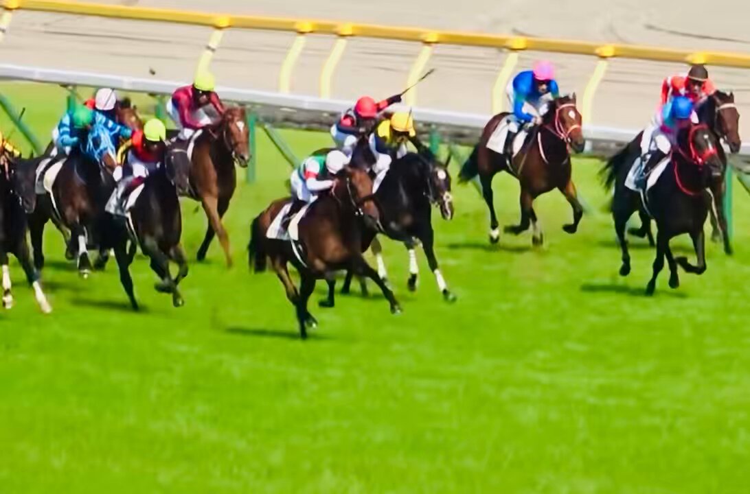 シャフリヤール