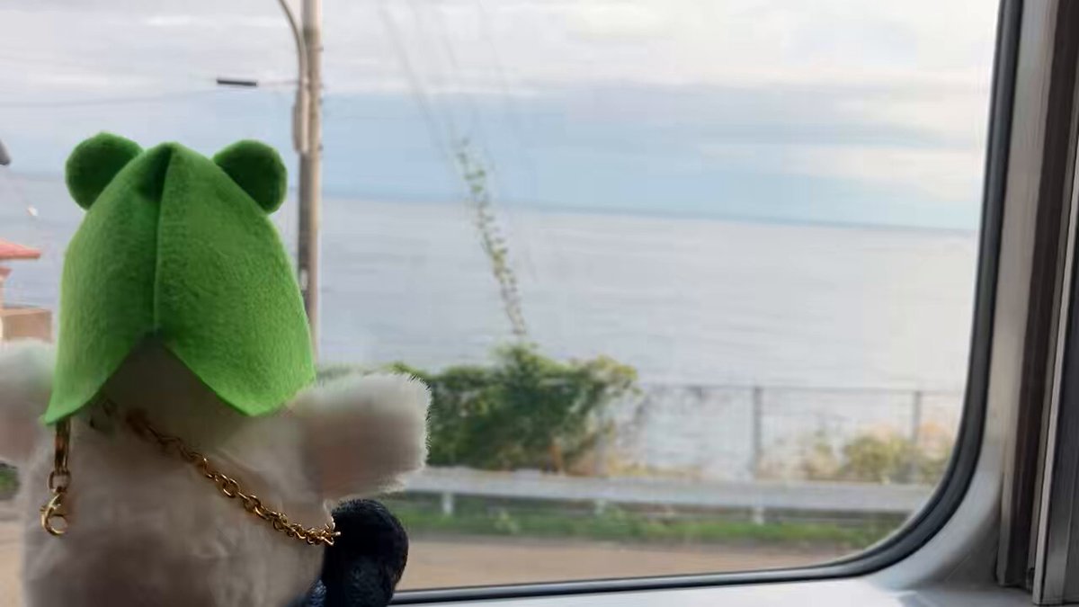 静岡県の沼津港に、深海魚ツアーに行ってきたよ〜🐟 冷凍保存された